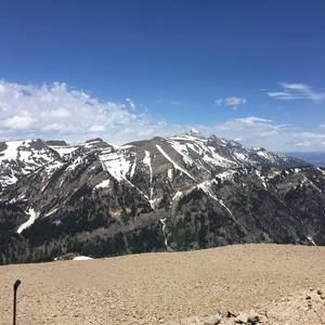 Meet your Posher, Jacob